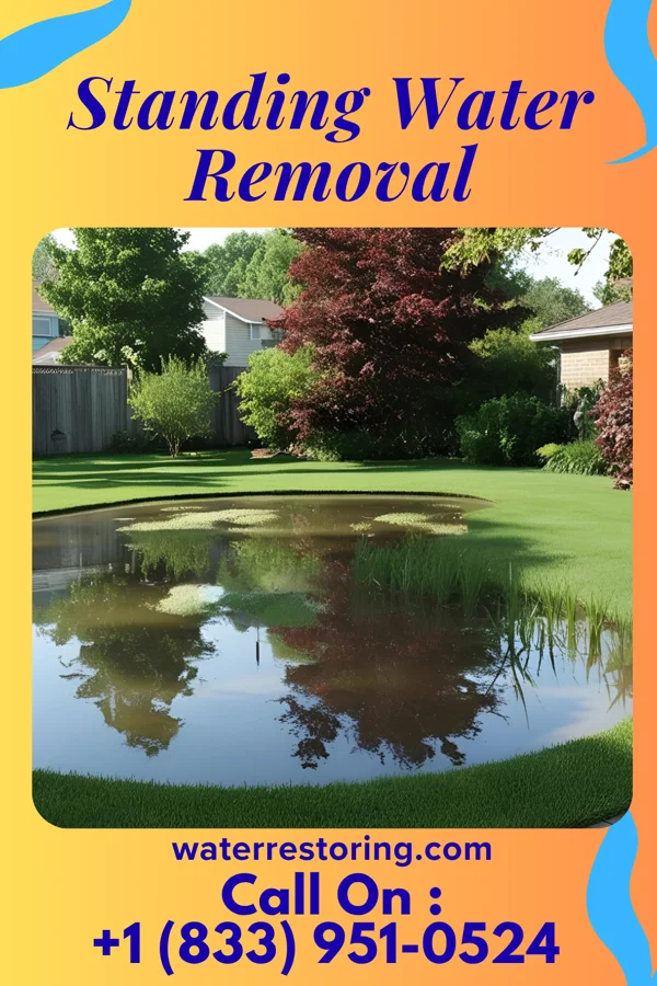 Standing Water Removal in Tres Arroyos, NM